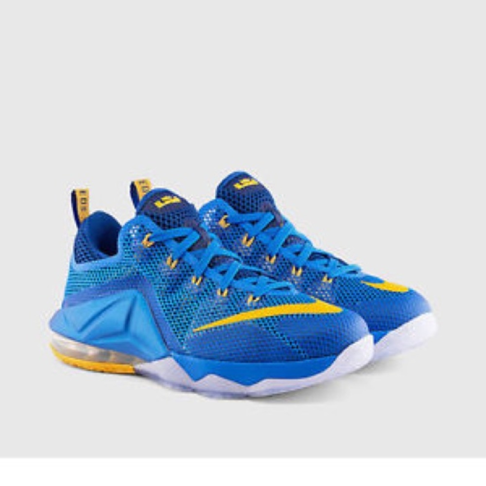 Lebron James XXI Athletic Sneaker 724557-484 sz 12